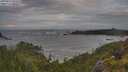 ./images/calvert/foggy-cove/20250619/foggy-cove20250619_064508M.jpg