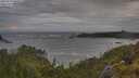 ./images/calvert/foggy-cove/20250619/foggy-cove20250619_065010M.jpg