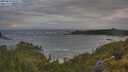 ./images/calvert/foggy-cove/20250619/foggy-cove20250619_065509M.jpg