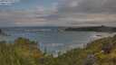 ./images/calvert/foggy-cove/20250619/foggy-cove20250619_071008M.jpg