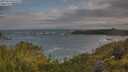 ./images/calvert/foggy-cove/20250619/foggy-cove20250619_071509M.jpg