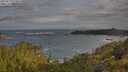 ./images/calvert/foggy-cove/20250619/foggy-cove20250619_073011M.jpg