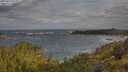 ./images/calvert/foggy-cove/20250619/foggy-cove20250619_073509M.jpg