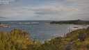 ./images/calvert/foggy-cove/20250619/foggy-cove20250619_075508M.jpg