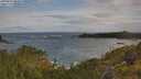./images/calvert/foggy-cove/20250619/foggy-cove20250619_080010M.jpg