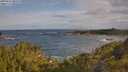 ./images/calvert/foggy-cove/20250619/foggy-cove20250619_080508M.jpg