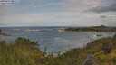 ./images/calvert/foggy-cove/20250619/foggy-cove20250619_081509M.jpg