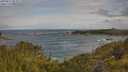 ./images/calvert/foggy-cove/20250619/foggy-cove20250619_082011M.jpg