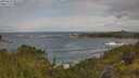 ./images/calvert/foggy-cove/20250619/foggy-cove20250619_082509M.jpg