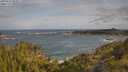 ./images/calvert/foggy-cove/20250619/foggy-cove20250619_083011M.jpg