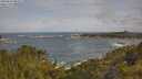 ./images/calvert/foggy-cove/20250619/foggy-cove20250619_083505M.jpg