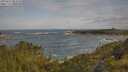 ./images/calvert/foggy-cove/20250619/foggy-cove20250619_084010M.jpg