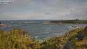 ./images/calvert/foggy-cove/20250619/foggy-cove20250619_084510M.jpg