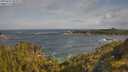 ./images/calvert/foggy-cove/20250619/foggy-cove20250619_085009M.jpg