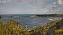 ./images/calvert/foggy-cove/20250619/foggy-cove20250619_085509M.jpg