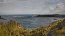 ./images/calvert/foggy-cove/20250619/foggy-cove20250619_090012M.jpg