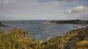 ./images/calvert/foggy-cove/20250619/foggy-cove20250619_090508M.jpg