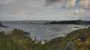./images/calvert/foggy-cove/20250619/foggy-cove20250619_091010M.jpg