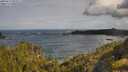 ./images/calvert/foggy-cove/20250619/foggy-cove20250619_092011M.jpg