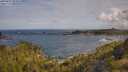 ./images/calvert/foggy-cove/20250619/foggy-cove20250619_093010M.jpg
