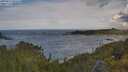 ./images/calvert/foggy-cove/20250619/foggy-cove20250619_093510M.jpg