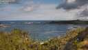 ./images/calvert/foggy-cove/20250619/foggy-cove20250619_094509M.jpg
