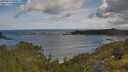 ./images/calvert/foggy-cove/20250619/foggy-cove20250619_095010M.jpg