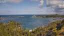 ./images/calvert/foggy-cove/20250619/foggy-cove20250619_101010M.jpg
