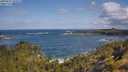 ./images/calvert/foggy-cove/20250619/foggy-cove20250619_101512M.jpg