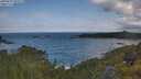 ./images/calvert/foggy-cove/20250619/foggy-cove20250619_102509M.jpg