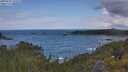 ./images/calvert/foggy-cove/20250619/foggy-cove20250619_103510M.jpg