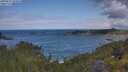 ./images/calvert/foggy-cove/20250619/foggy-cove20250619_104011M.jpg