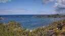 ./images/calvert/foggy-cove/20250619/foggy-cove20250619_110011M.jpg