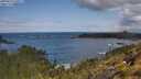 ./images/calvert/foggy-cove/20250619/foggy-cove20250619_110507M.jpg