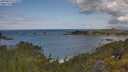 ./images/calvert/foggy-cove/20250619/foggy-cove20250619_111010M.jpg