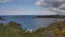 ./images/calvert/foggy-cove/20250619/foggy-cove20250619_112508M.jpg