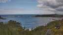 ./images/calvert/foggy-cove/20250619/foggy-cove20250619_113011M.jpg