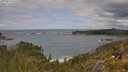 ./images/calvert/foggy-cove/20250619/foggy-cove20250619_115510M.jpg