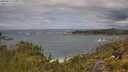./images/calvert/foggy-cove/20250619/foggy-cove20250619_120012M.jpg