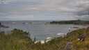 ./images/calvert/foggy-cove/20250619/foggy-cove20250619_121010M.jpg