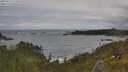 ./images/calvert/foggy-cove/20250619/foggy-cove20250619_122008M.jpg