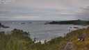 ./images/calvert/foggy-cove/20250619/foggy-cove20250619_122509M.jpg