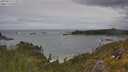 ./images/calvert/foggy-cove/20250619/foggy-cove20250619_123509M.jpg