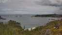 ./images/calvert/foggy-cove/20250619/foggy-cove20250619_124010M.jpg