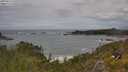 ./images/calvert/foggy-cove/20250619/foggy-cove20250619_125509M.jpg