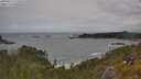 ./images/calvert/foggy-cove/20250619/foggy-cove20250619_131008M.jpg