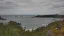 ./images/calvert/foggy-cove/20250619/foggy-cove20250619_133508M.jpg