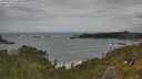 ./images/calvert/foggy-cove/20250619/foggy-cove20250619_134011M.jpg