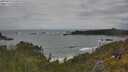 ./images/calvert/foggy-cove/20250619/foggy-cove20250619_135008M.jpg