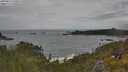./images/calvert/foggy-cove/20250619/foggy-cove20250619_140012M.jpg